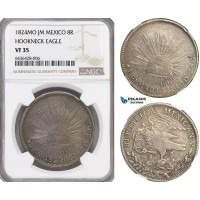 A5/613 Mexico "Hookneck Eagle" 8 Reales 1824 Mo JM, Mexico City Mint, Silver, KM# 376.2, NGC VF35, Gun metal toning!