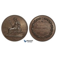 AA003 Finland under Russia, Alexander II, Bronze Medal 1875 (Ø43mm, 34.8g) by Jahn, Bee Hive, Rare!
