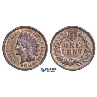 AA168, United States, Indian Cent 1889, Philadelphia, Cleaned AU
