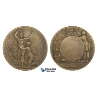 AA182, France & United States, Bronze Art Nouveau Medal by Rivet (Ø50mm, 53.6g) Viticulture