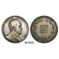 AA214, Sweden, Silver Medal 1888 (Ø31mm, 14.1g) And. Fred. Regnell, Medicine
