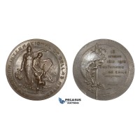 AA587, Chile, Bronze Medal 1910 (Ø60mm, 99.6g) by Lortschen, Fine Arts International Exhibition