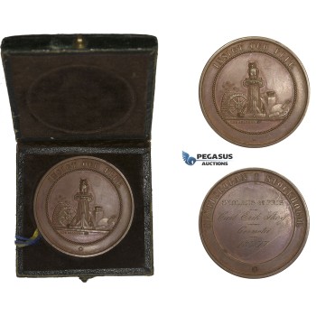 AA615, Sweden, Bronze Medal 1877 (Ø39mm, 22.3g) Stockholm Handcraft School, Owl, Bee Hive