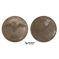 AA736, Germany, Bronze Medal 1842 (Ø44mm, 42.2g) by Loos, Hamburg Great Fire, Phoenix