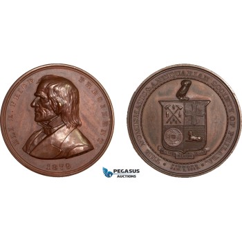 AA995, United States, Bronze Medal 1879 (Ø42mm, 49g)  Owl, Eli K. Price, Philadelphia Numismatic Society, Rare!