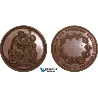 AB586, Sweden, Bronze Medal 1866 (Ø36.5, 20.8g) by Ericsson, Goteborg, Owl