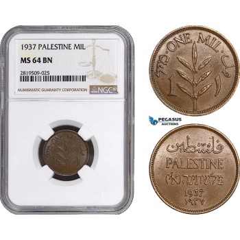 AB719, Palestine, 1 Mil 1937, London, NGC MS64BN
