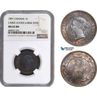 AB854, Canada, Victoria, 1 Cent 1891 "Large Leaves, Large Date" NGC MS62BN AB854, Canada, Victoria, 1 Cent 1891 "Large Leaves, Large Date" NGC MS62BN