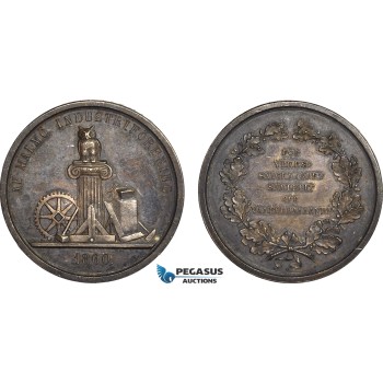 AB947, Sweden, Silver Medal 1860 (Ø31mm, 12.95g) Owl, Malmö Industry