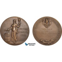 AB954, Sweden, Bronze Medal ND (Ø45mm, 40g) Owl, Stockholm Book Publisher