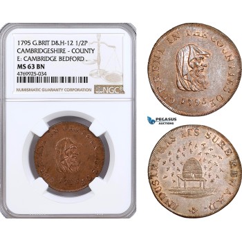 AE850, Great Britain, Bronze Medal (1/2P) 1795, Cambridgeshire County, D&H-12, Beehive, NGC MS63BN