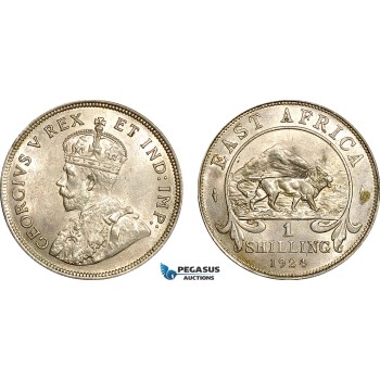 AF005, British East Africa, George V, 1 Shilling 1924, London, Silver, Lustrous UNC