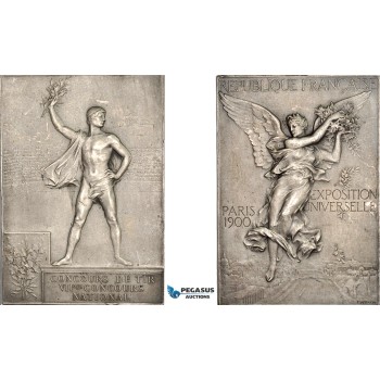 AF064, France, 1900 Paris Olympics, Silvered Bronze Participant Plaque Medal (60x43mm, 57.3g) By Vernon