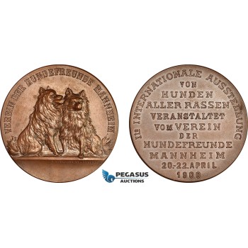 AI639, Germany,  Bronze Medal 1900 by Wiedmann, 1st International Dog Show in Mannheim, EF-UNC