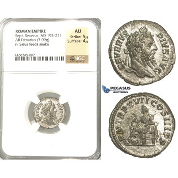 P58, Roman Empire, Septimius Severus (193-211 AD) AR Denarius (3.09g) Rome, 209 AD, Salus/Snake, NGC AU