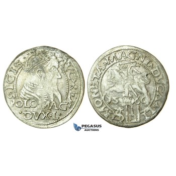 T123, Poland (for Lithuania) Sigismund II Augustus, Groschen 1566-SA, Tykocin, Silver (1.40g) TOP Grade!