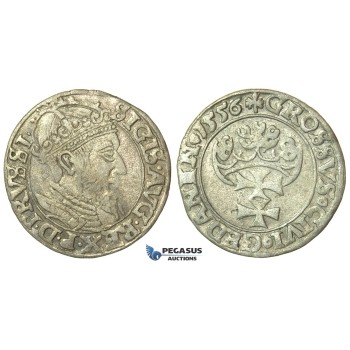 T141, Poland (for Danzig) Sigismund II Augustus, Groschen 1556, Danzig, Silver (1.50g) Rare!