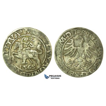 Y119, Poland (for Lithuania) Sigismund II Augustus, 1/2 Groschen 1565-SA, Vilnius, Silver (1.14g)