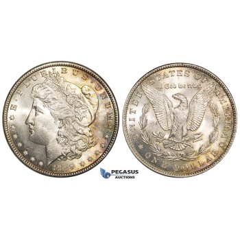ZE02, United States, Morgan Dollar 1889, Philadelphia, Silver, Toned UNC