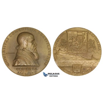 ZI89, Czechoslovakia, Bronze Medal 1919 (Ø80mm, 200g), by Spaniel, Bratislava University, aUNC