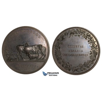 ZL64, Austria, Bronze Medal 1823 (Ø66mm, 83.4g) by Boehm, Agriculture Prize