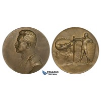 ZM266, Austria, Bronze Medal 1915 (Ø65mm, 106g) by Hartig, Conrad von Hotzendorf, Dragon
