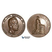 ZM660, Sweden, Karl XV, Bronze Medal 1868 (Ø58mm, 82g) by Ericsson, Lund University, Owl, Minerva