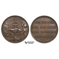ZM663, Belgium & Poland, Bronze Medal 1833 (Ø27mm, 10.6g) November Uprising, Navy