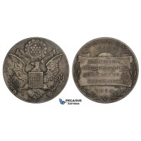 ZM769, Argentina & United States, Silvered Bronze Medal 1910 (Ø40.5mm, 27.5g) by Gattuzzo, American Day, Agriculture Expo