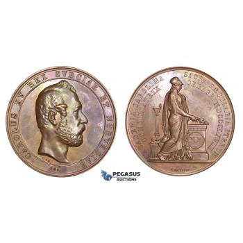 ZM788, Sweden, Karl XV, Bronze Medal 1868 (Ø58mm, 83g) by Ericsson, Lund University, Owl, Minerva