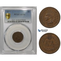 ZM863, United States, Indian Cent 1877, Philadelphia, PCGS AU50BN, Rare!