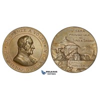 ZM884, Italy, Bronze Medal 1899 (Ø39mm, 26.2g) by Johnson, Como Shooting Contest