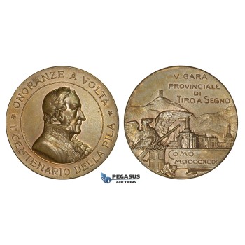 ZM884, Italy, Bronze Medal 1899 (Ø39mm, 26.2g) by Johnson, Como Shooting Contest