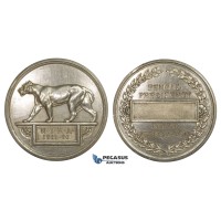 ZM966, India, Silver Medal 1886 (Ø55mm, 92.3g) by Pinches, Bengal Presidency Rifle Association, Shooting