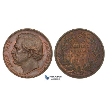 ZM974, Sweden, Bronze Medal 1879 (Ø27mm, 10.6g) by Lindberg, Expedition, Adolf Erik Nordenskjold