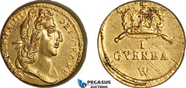 AJ807, England & Netherlands, William III, Monetary Weight for 1 Guinea (8.32g), EF-UNC