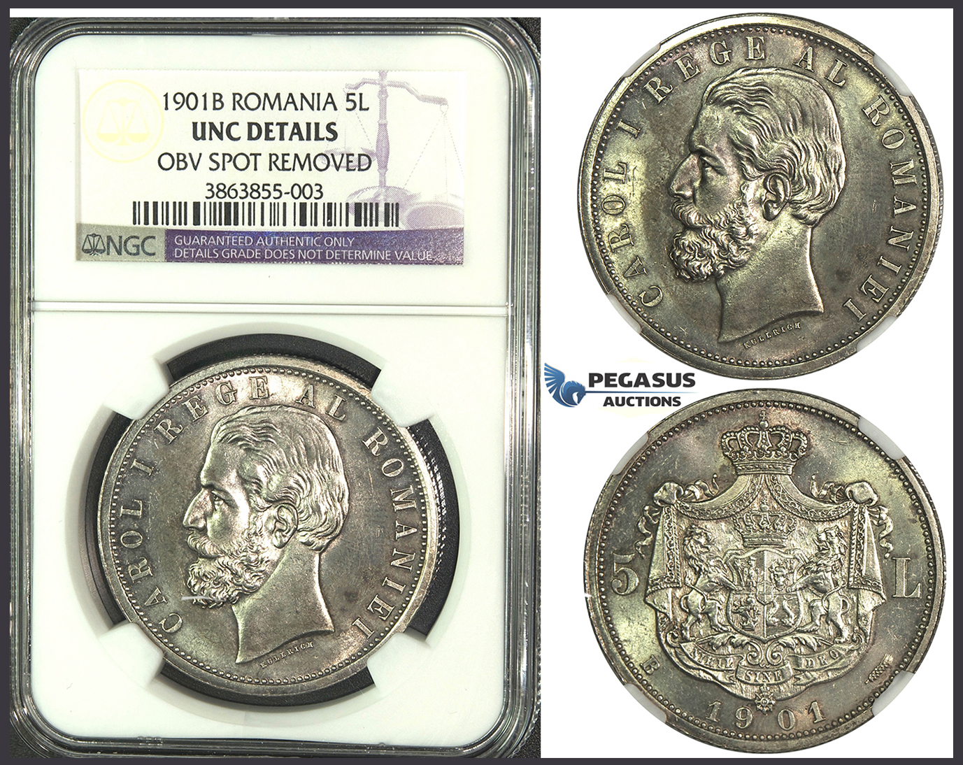 K07, Romania, Carol I, 5 Lei 1901, Hamburg, Silver, NGC UNC Details