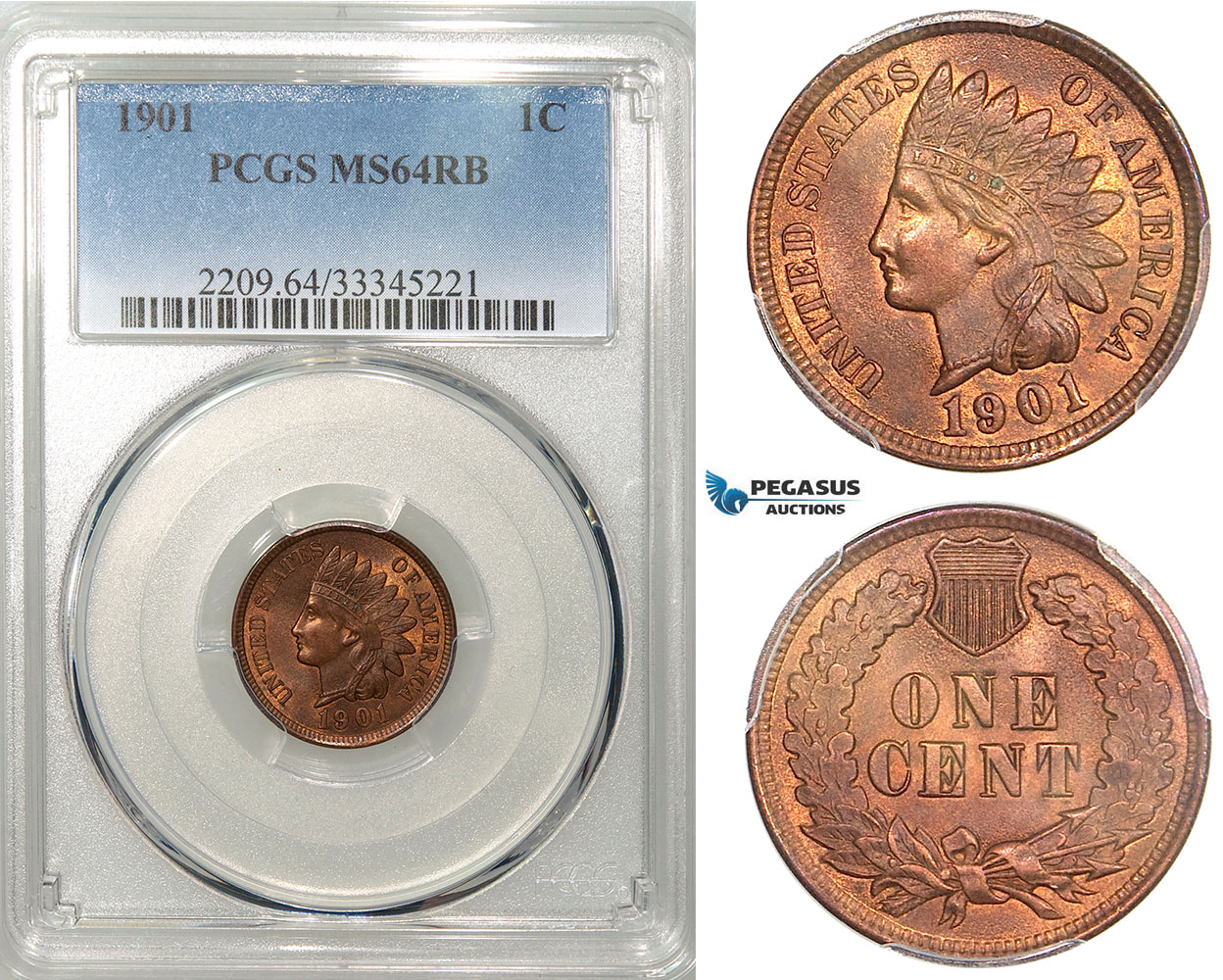 R635, United States, Indian Cent 1901, PCGS MS64RB