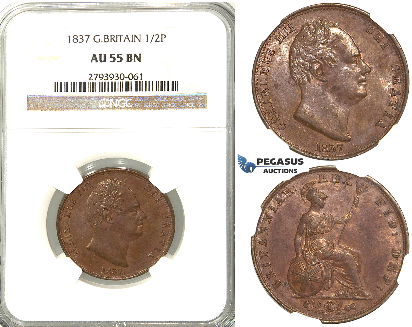 S98, Great Britain, William IV, 1/2 (Half) Penny 1837, NGC AU55BN