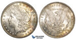 ZE02, United States, Morgan Dollar 1889, Philadelphia, Silver, Toned UNC