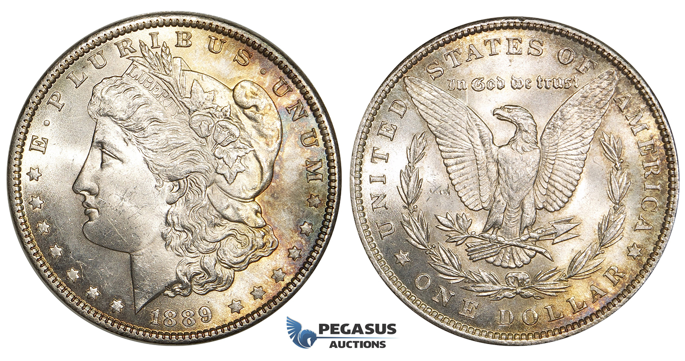 ZE02, United States, Morgan Dollar 1889, Philadelphia, Silver, Toned UNC