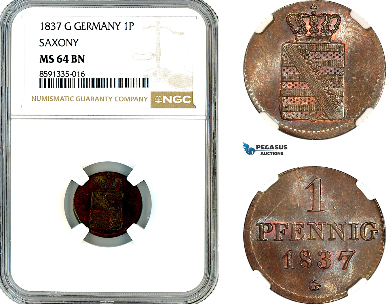 AM305, Germany, Saxony, Frederick Augustus II, 1 Pfennig 1837 G, Dresden Mint, NGC MS64BN